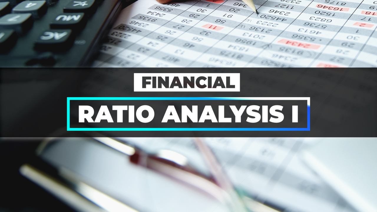 Financial Ratio Analysis